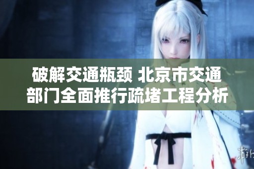 破解交通瓶颈 北京市交通部门全面推行疏堵工程分析