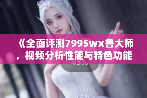 《全面评测7995wx鲁大师，视频分析性能与特色功能》