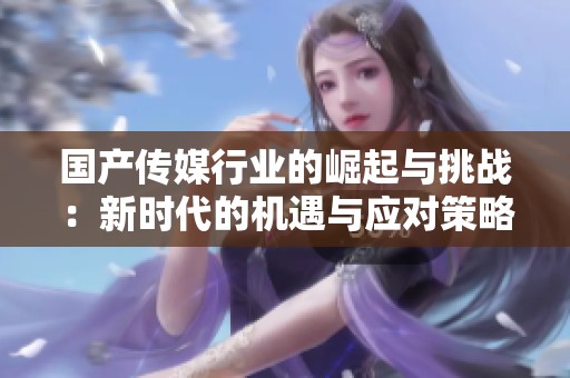 国产传媒行业的崛起与挑战：新时代的机遇与应对策略