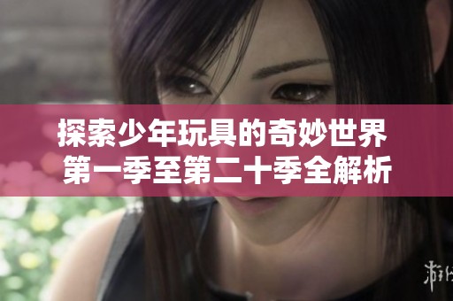 探索少年玩具的奇妙世界 第一季至第二十季全解析