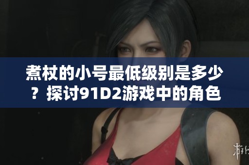 煮杖的小号最低级别是多少？探讨91D2游戏中的角色成长