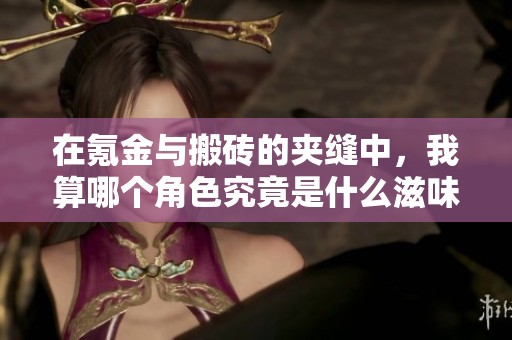 在氪金与搬砖的夹缝中，我算哪个角色究竟是什么滋味