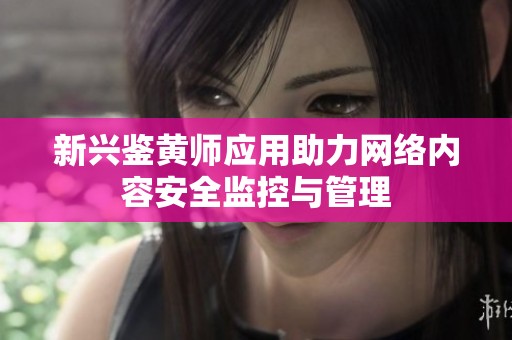 新兴鉴黄师应用助力网络内容安全监控与管理