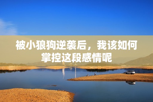 被小狼狗逆袭后，我该如何掌控这段感情呢