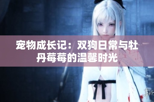宠物成长记：双狗日常与牡丹莓莓的温馨时光