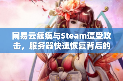 网易云瘫痪与Steam遭受攻击，服务器快速恢复背后的技术揭秘