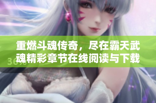 重燃斗魂传奇，尽在霸天武魂精彩章节在线阅读与下载提现