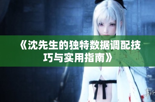 《沈先生的独特数据调配技巧与实用指南》