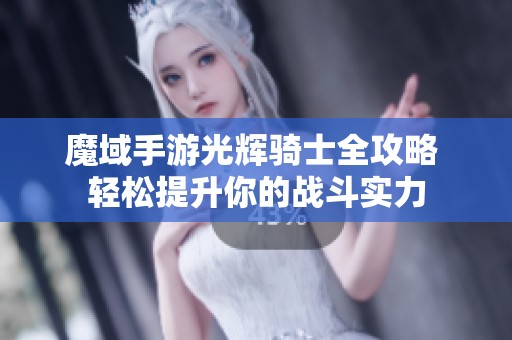 魔域手游光辉骑士全攻略 轻松提升你的战斗实力