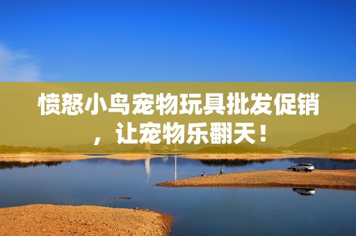 愤怒小鸟宠物玩具批发促销，让宠物乐翻天！