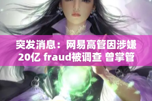 突发消息：网易高管因涉嫌20亿 fraud被调查 曾掌管多款热门游戏
