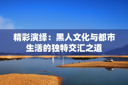 精彩演绎：黑人文化与都市生活的独特交汇之道