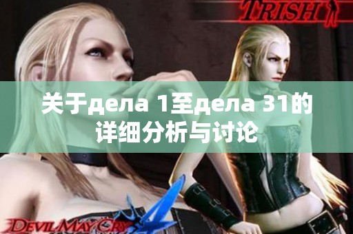 关于дела 1至дела 31的详细分析与讨论