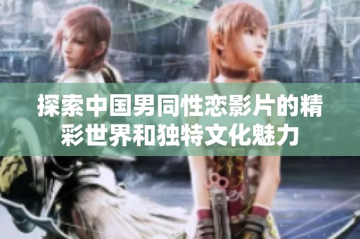 探索中国男同性恋影片的精彩世界和独特文化魅力