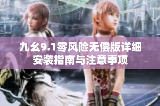 九幺9.1零风险无偿版详细安装指南与注意事项