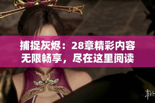 捕捉灰烬：28章精彩内容无限畅享，尽在这里阅读