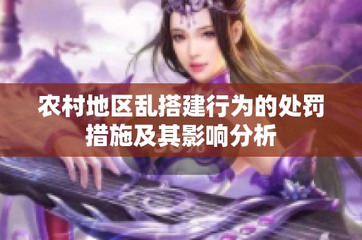 农村地区乱搭建行为的处罚措施及其影响分析