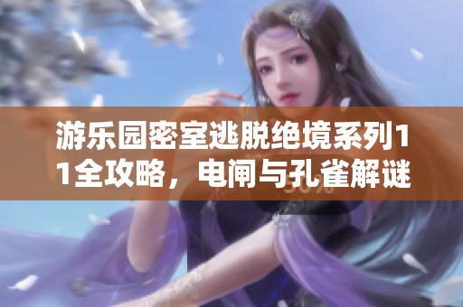游乐园密室逃脱绝境系列11全攻略，电闸与孔雀解谜技巧详解