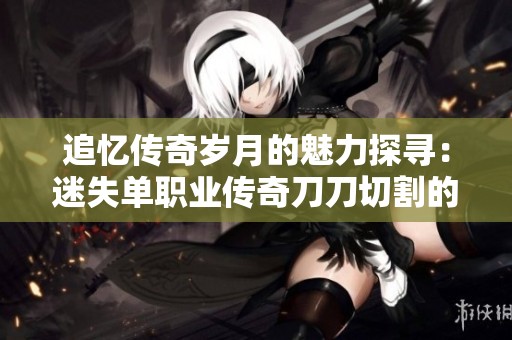 追忆传奇岁月的魅力探寻：迷失单职业传奇刀刀切割的独特魅力