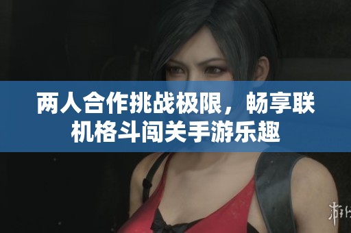 两人合作挑战极限，畅享联机格斗闯关手游乐趣