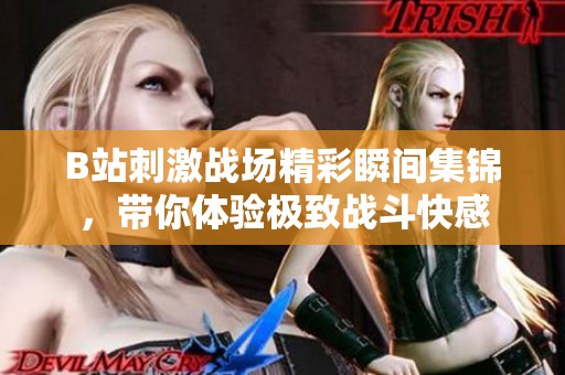 B站刺激战场精彩瞬间集锦，带你体验极致战斗快感