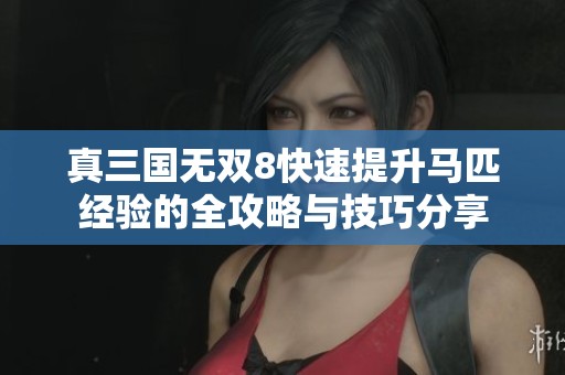 真三国无双8快速提升马匹经验的全攻略与技巧分享