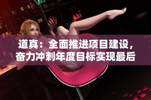 道真：全面推进项目建设，奋力冲刺年度目标实现最后突破