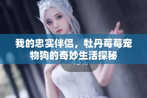 我的忠实伴侣，牡丹莓莓宠物狗的奇妙生活探秘