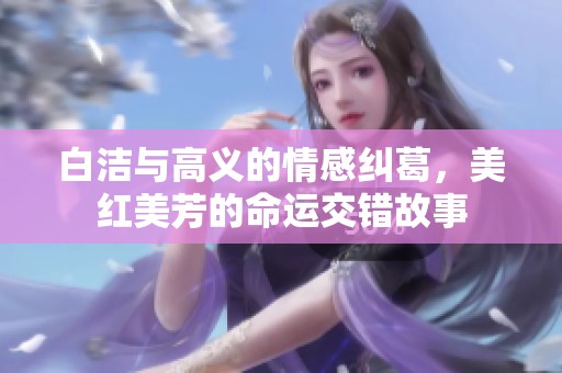 白洁与高义的情感纠葛，美红美芳的命运交错故事